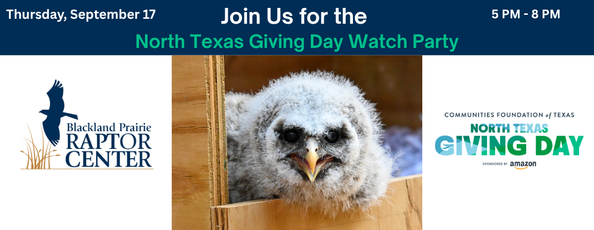 North Texas Giving Day - Watch Party